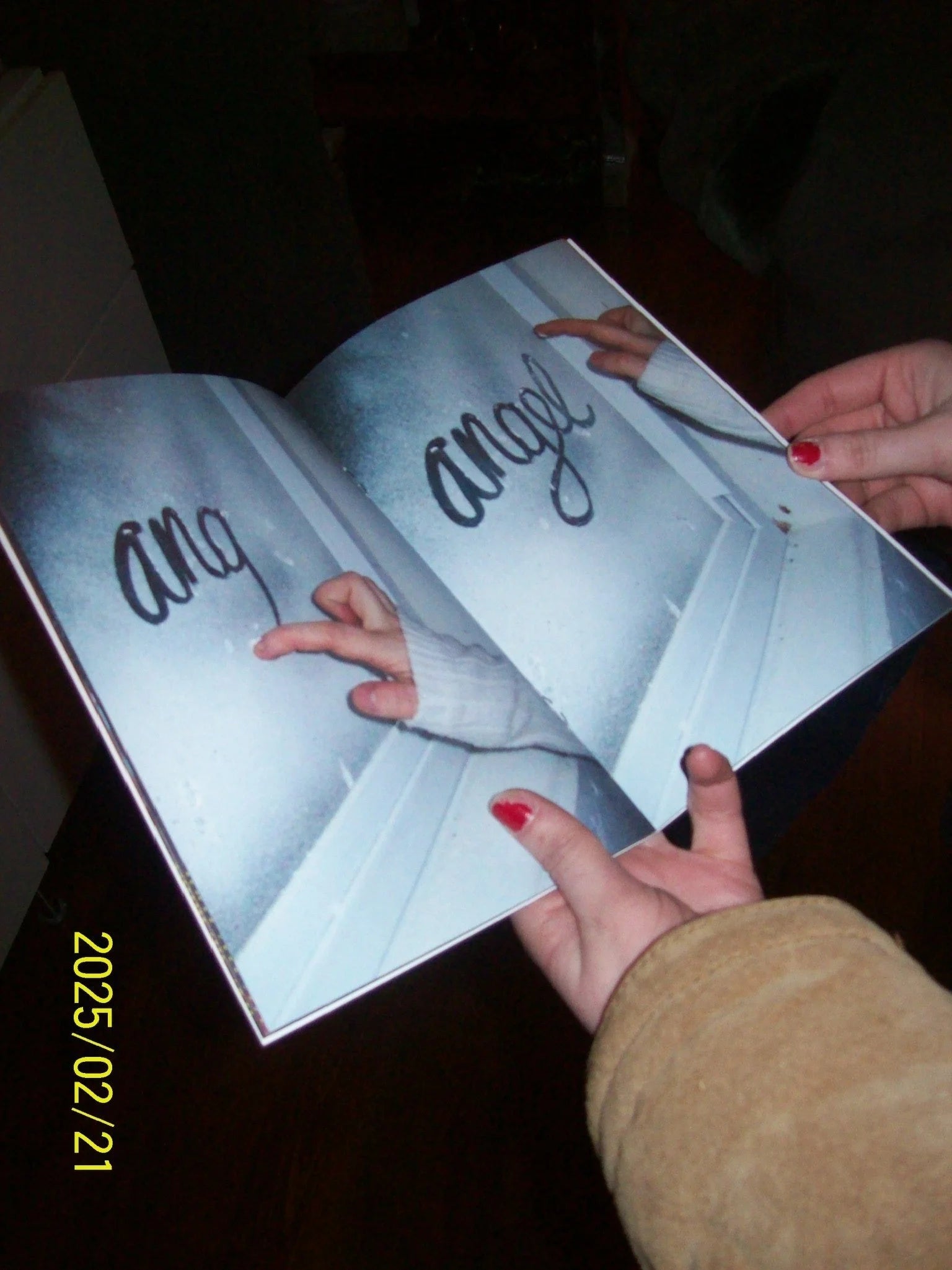 Lesbian Hands Zine - Issue 1